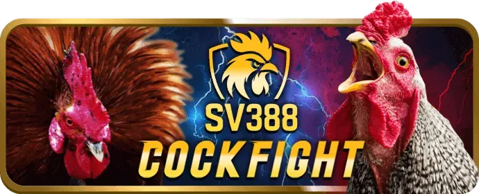 Tổng quan về nền tảng cá cược trực tuyến bet8s đăng nhập
